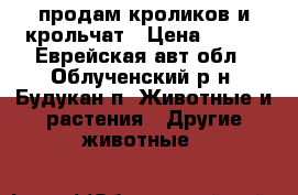 продам кроликов и крольчат › Цена ­ 350 - Еврейская авт.обл., Облученский р-н, Будукан п. Животные и растения » Другие животные   